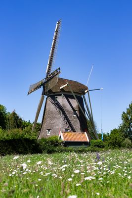 Dutch country side near Amsterdam