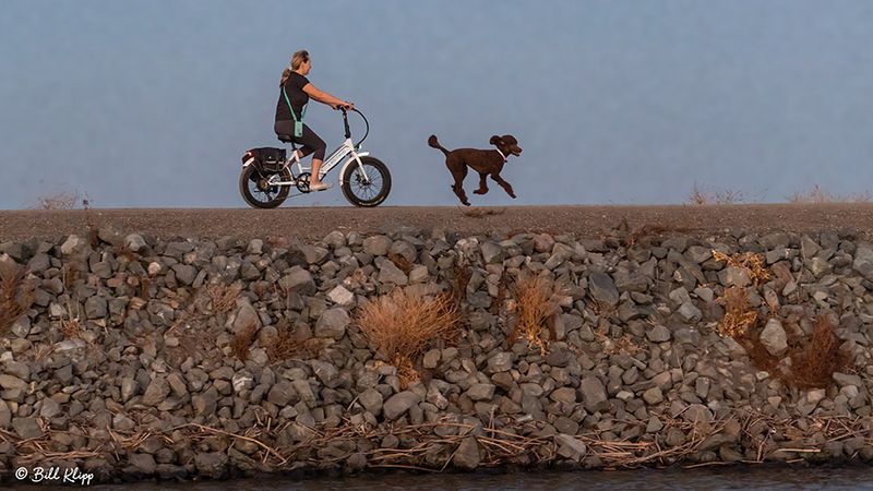 Levee Biking  2