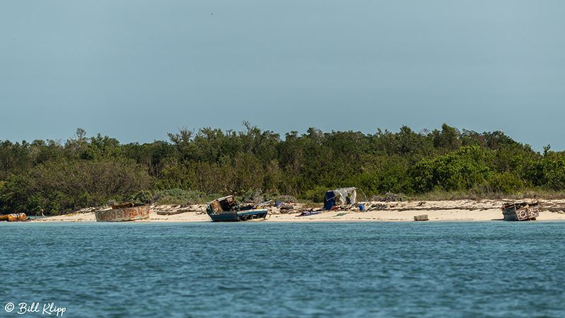 Cuban Chugs, Marquesas Keys  3