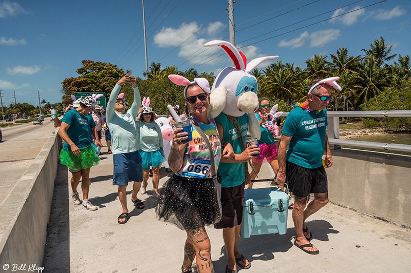 Cow Key Bridge Hop --- Conch Republic Independence Celebration  13