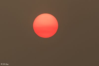 Delta Sunset -- 2022 - 109