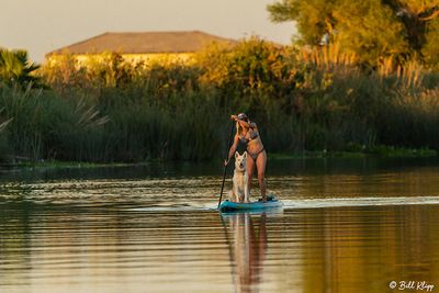 Stand Up Paddle Boarding  14