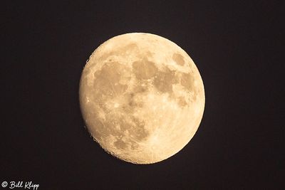Full Moon, 2021 -- 1