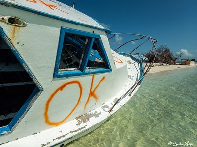 Cuban Chugs, Marquesas Keys 11b