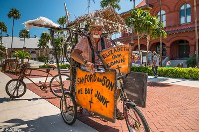 Papio Kinetic Sculpture Parade, Key West Photos by Bill Klipp