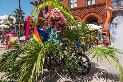 Papio Kinetic Sculpture Parade, Key West Photos by Bill Klipp