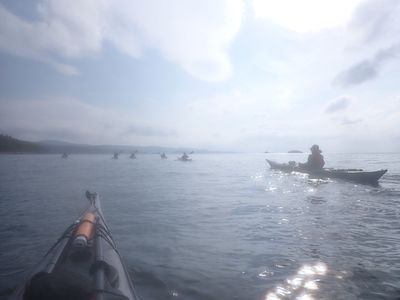 Foggy Morning at Duncan Cove