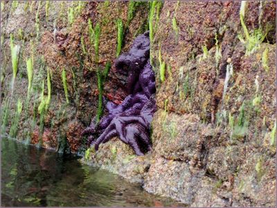 Desolation Sound 2025 (13).jpg