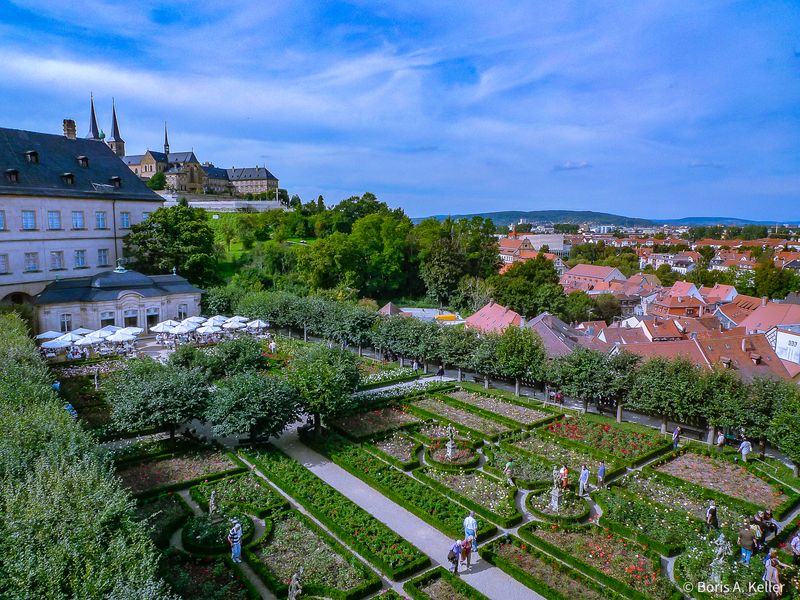 The Rose Garden