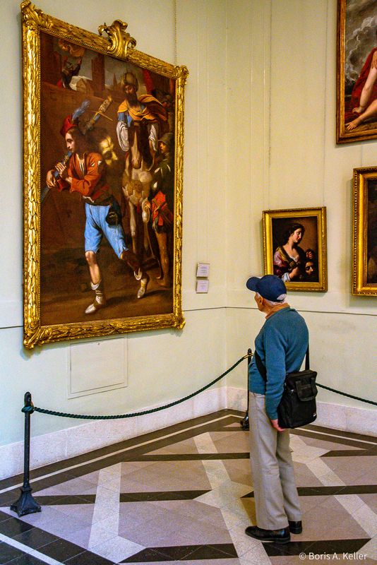 Museum of Fine Arts