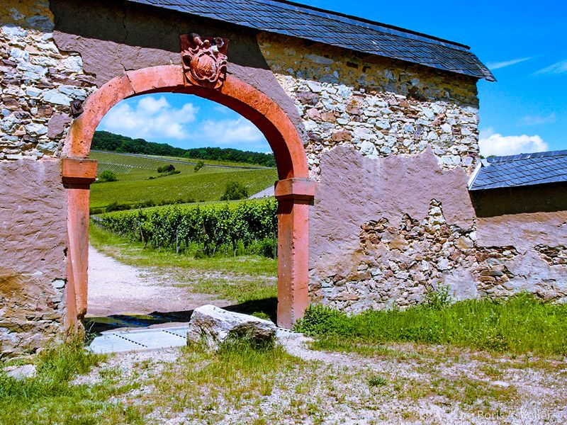 Weinberge und Tor