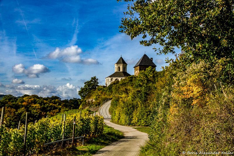 Vineyards and Chapel