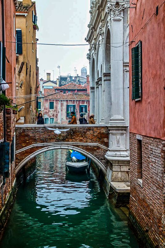 Bridges of Venice
