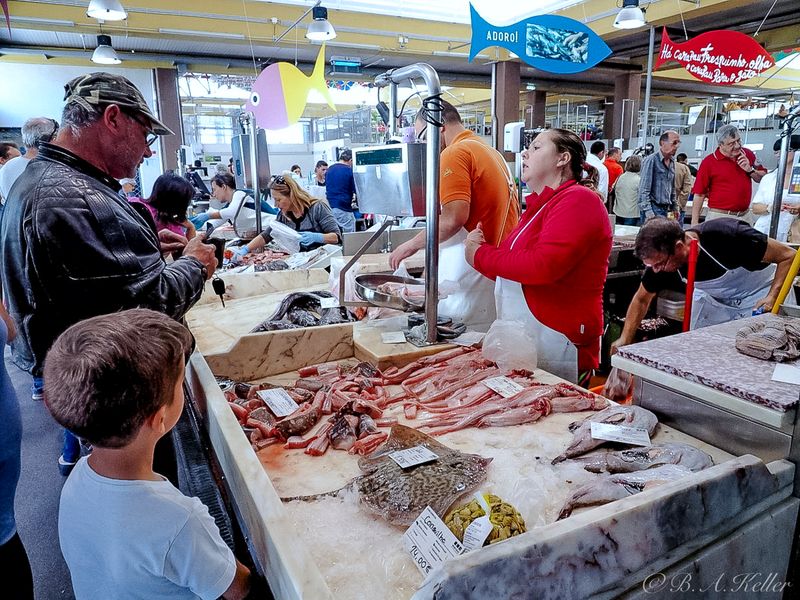 At the Fish market