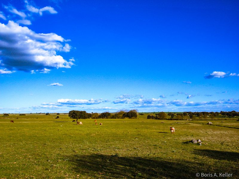 Countryside
