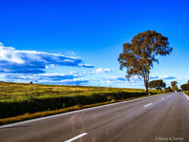 Along the road