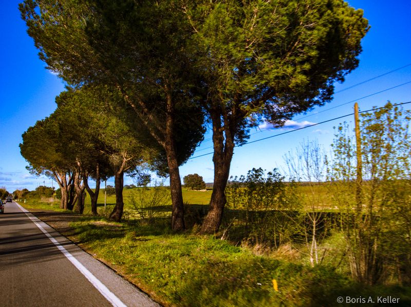 Along the road
