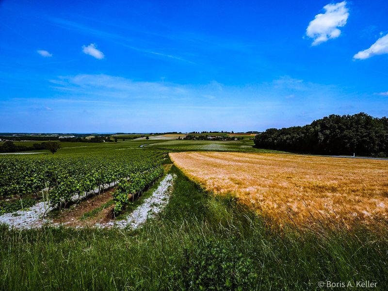Fields