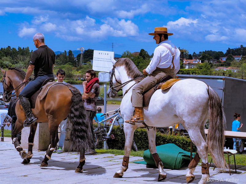 On horses