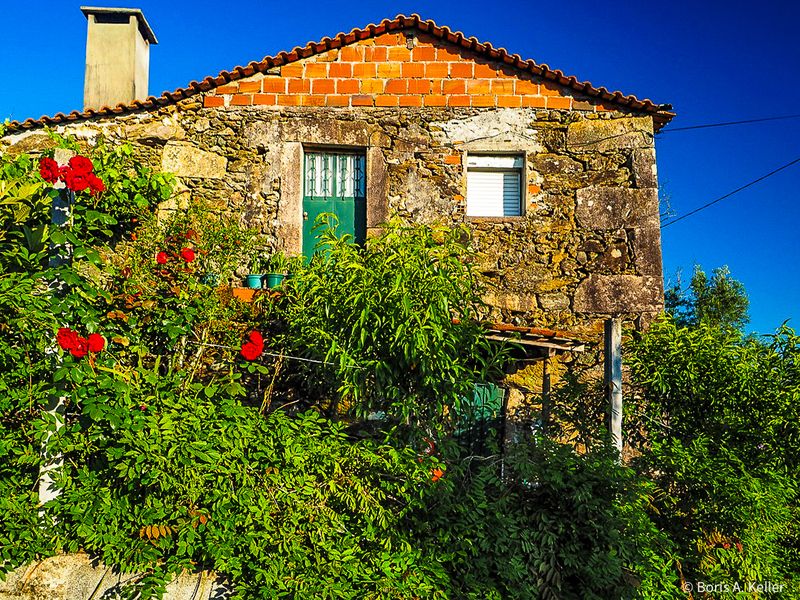 The old house