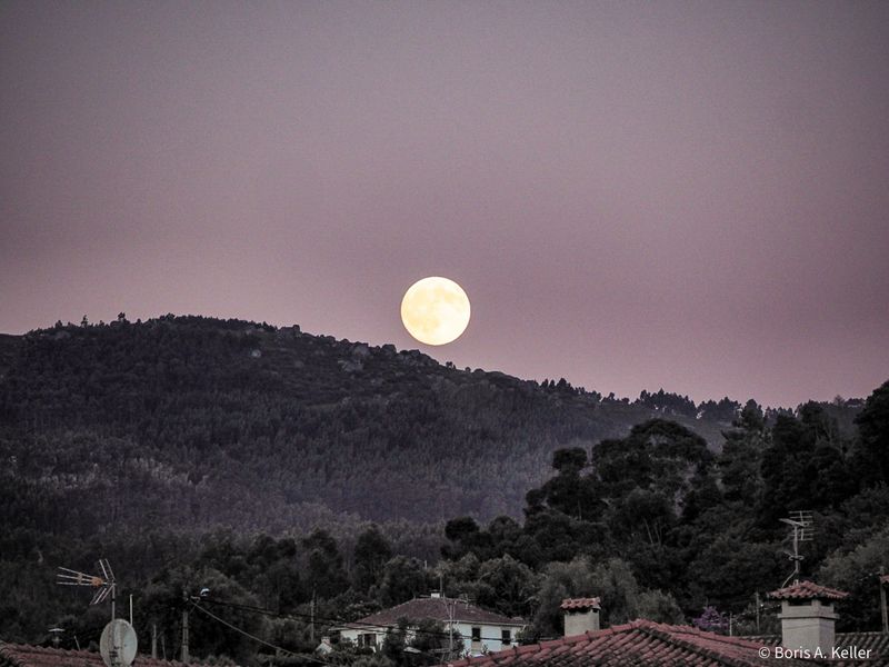 Rising moon