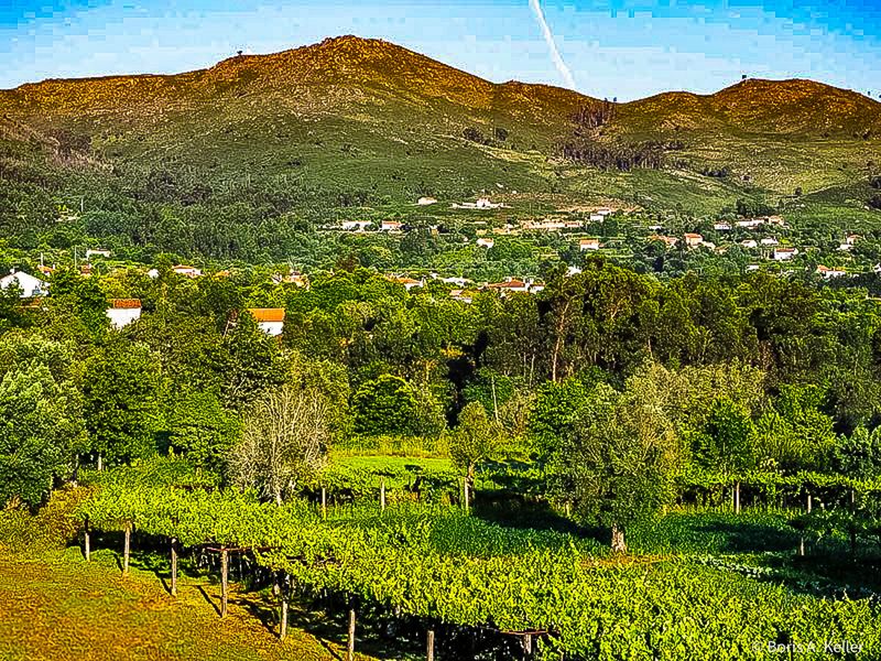 Countryside