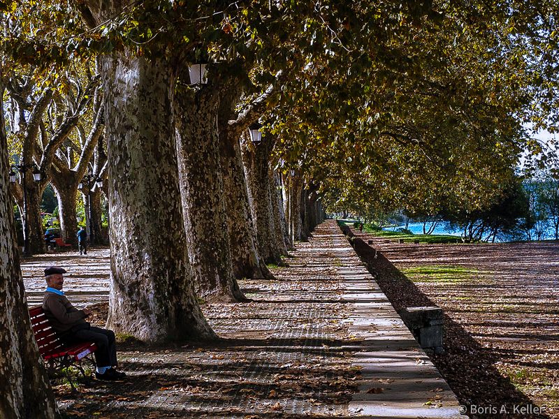 Autumn in your life...