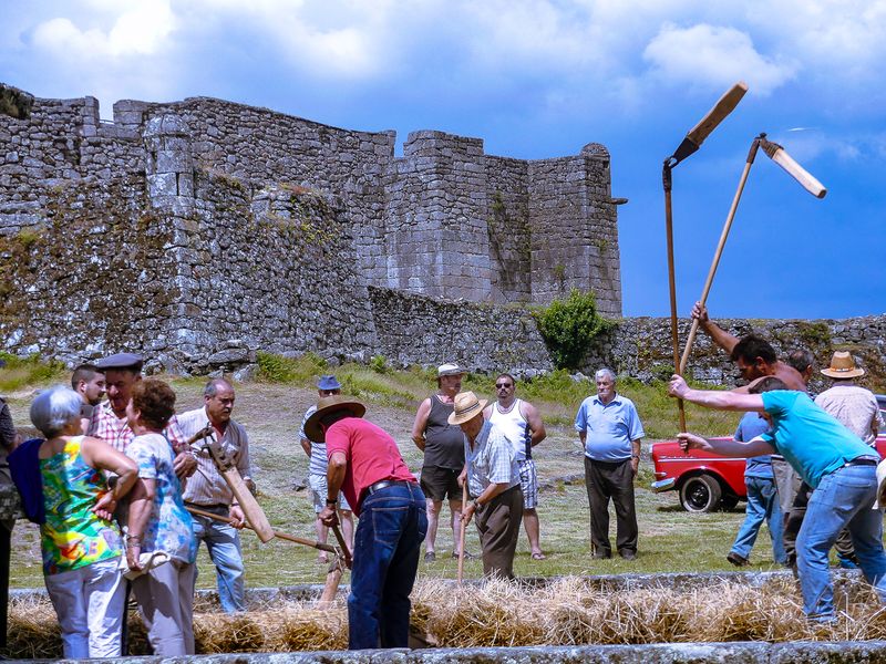 Grain threshing