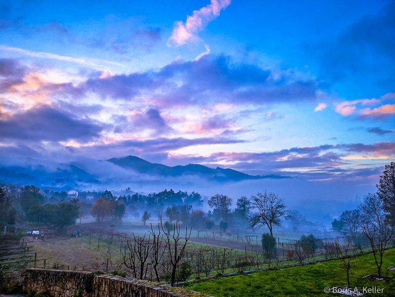 Evening Mist 