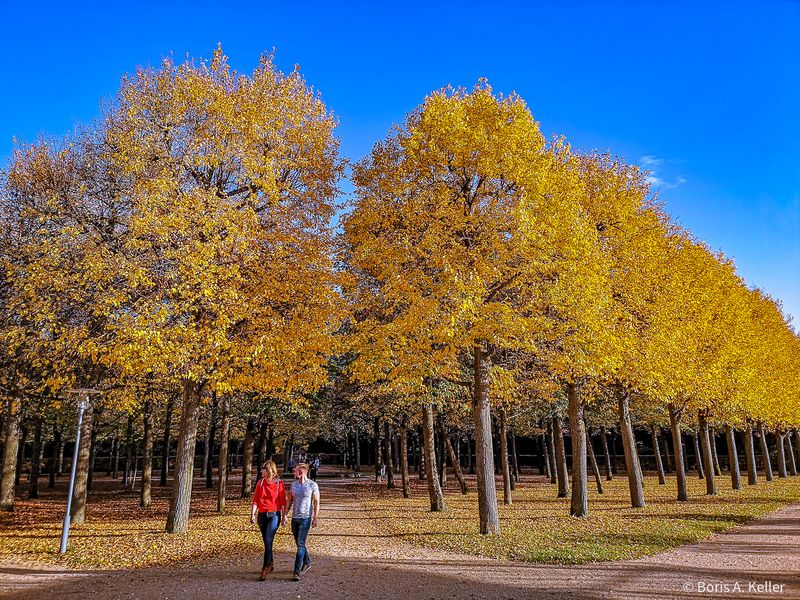 Hofgarten 