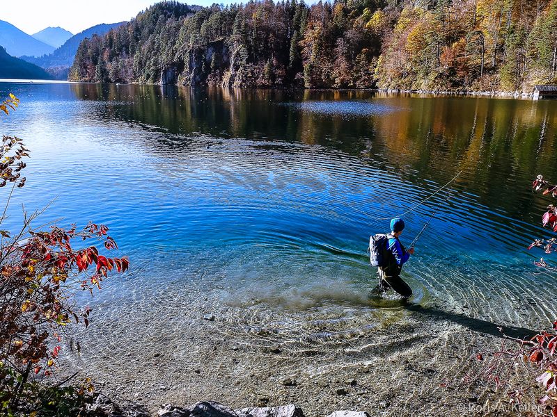 Am Alpsee 