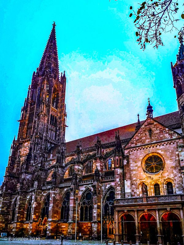 Freiburger Münster