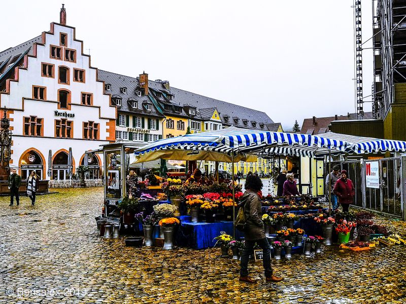 Mnsterplatz 