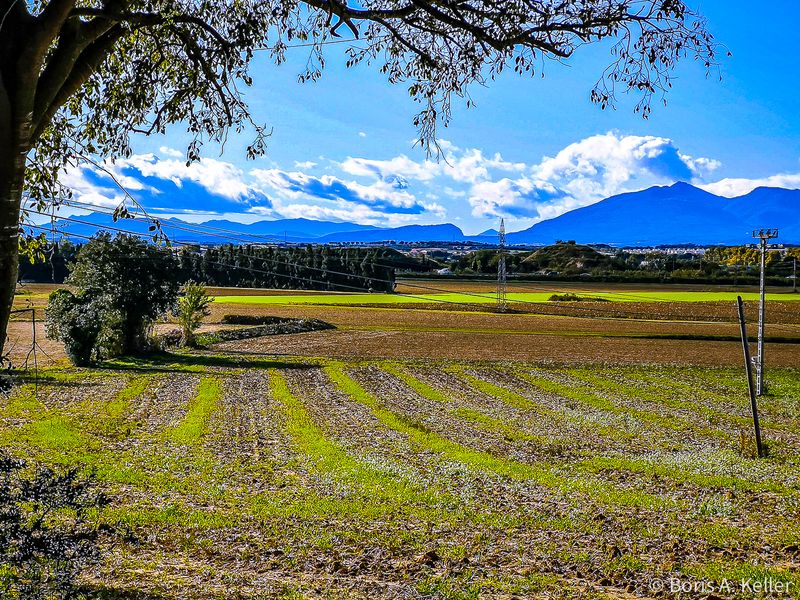 View to the Pyrenees