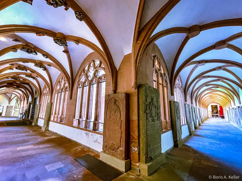 Wrzburger Dom - Kreuzgang