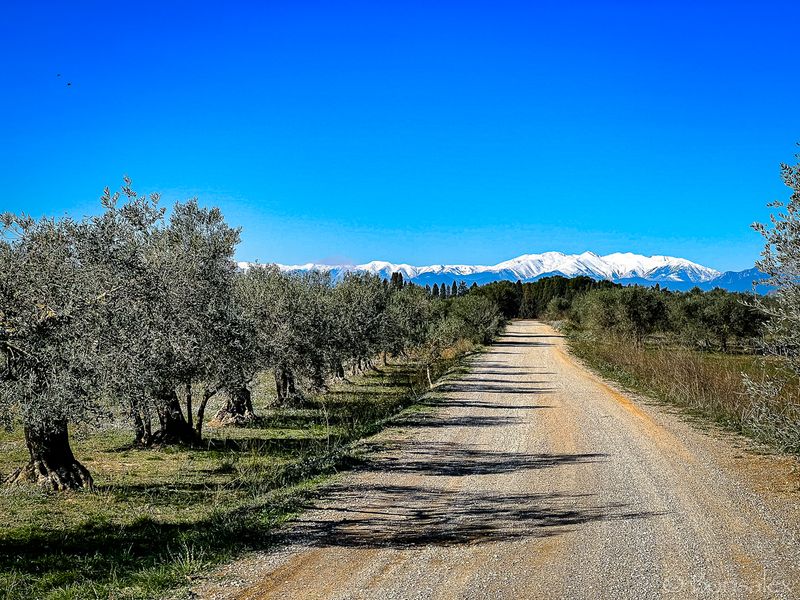 Country road