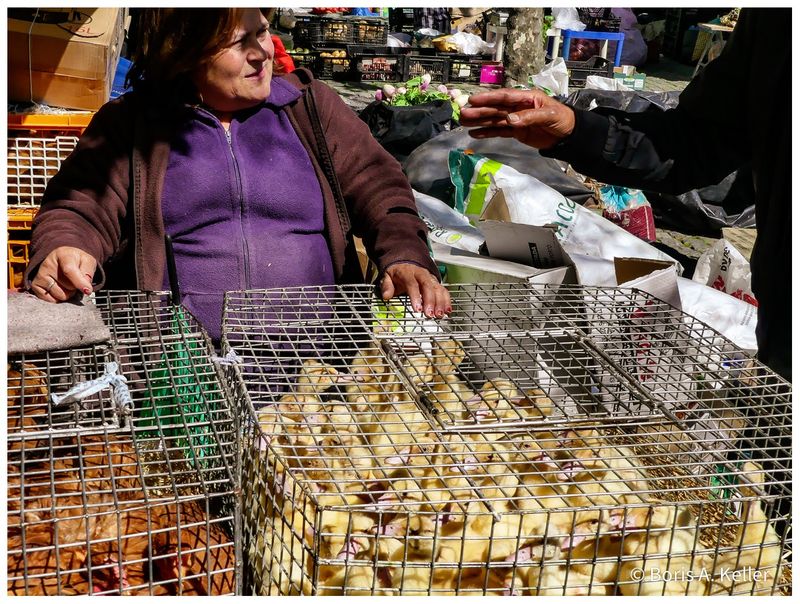 Markets in Portugal