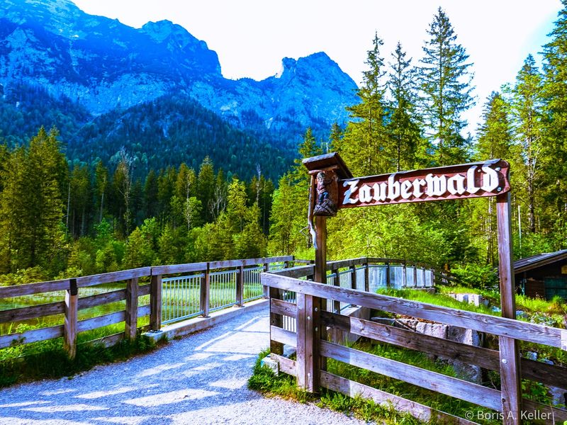 Zauberwald
