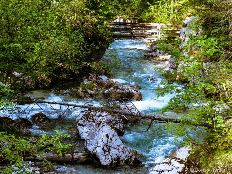 Ramsauer Ache im Zauberwald