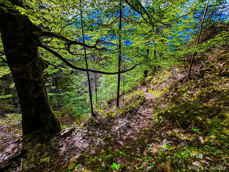 Wanderweg