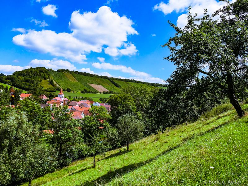 Tauberzell