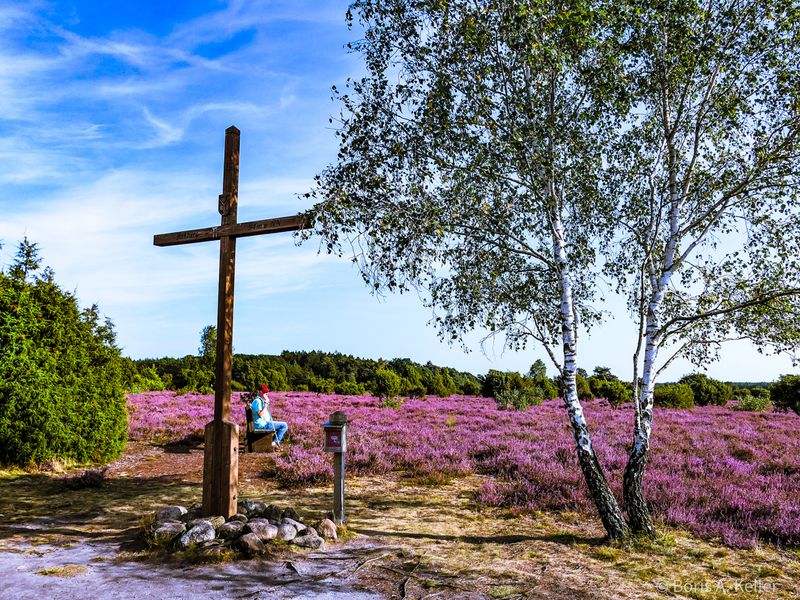 Lüneburger Heide