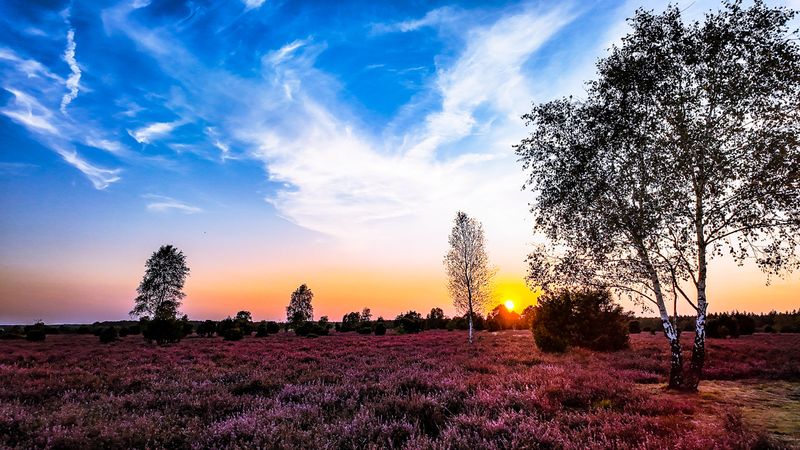 Sunset