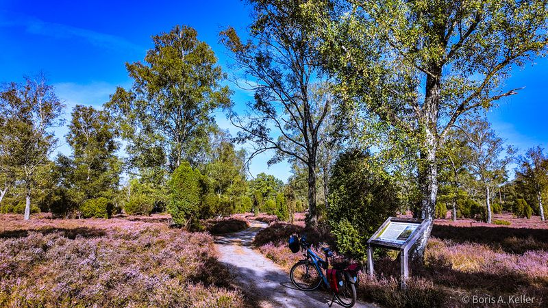 Cycling & hiking trail