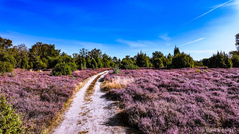 Cycling & hiking trail