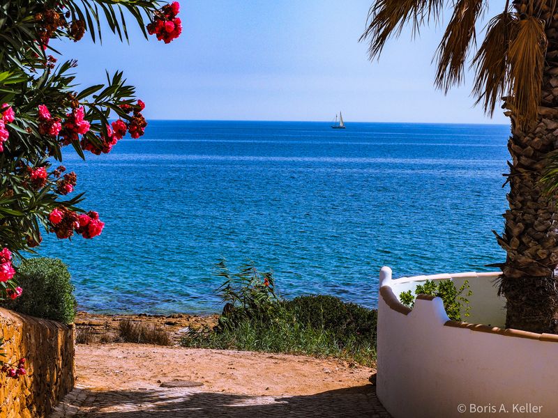 Ocean View