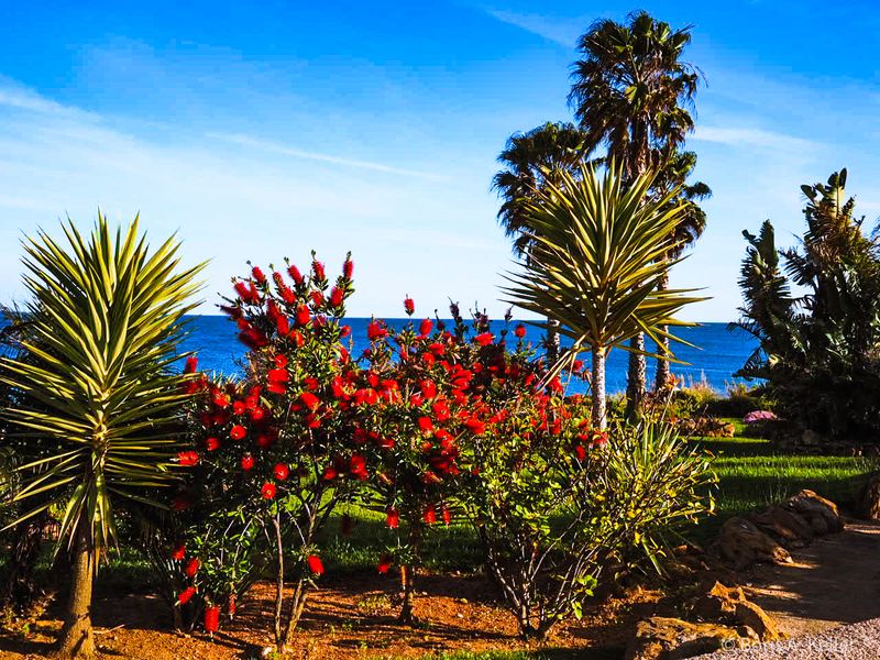 Garden by the Sea