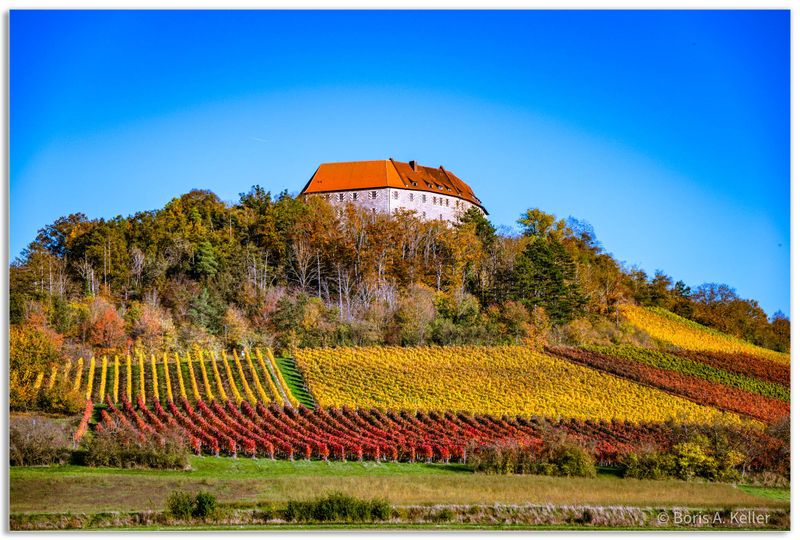 Hoheneck Castle