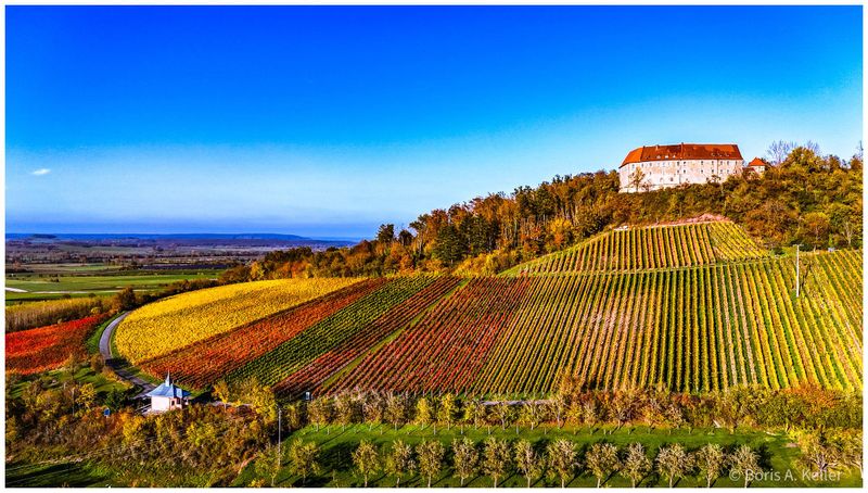Hoheneck Castle