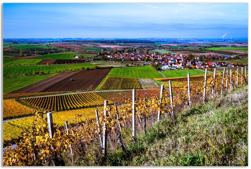 Vineyards